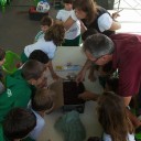 Projeto incentiva hortas na escola