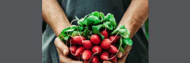 Guia Justiça Alimentar e Cidadania debate o direito à alimentação